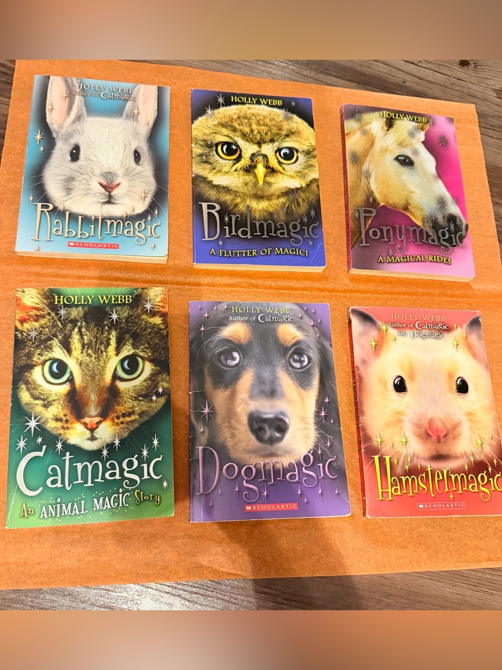 LOT of 6 Holly Webb Children's Chapter Book Scholastic Dogmagic Catmagic